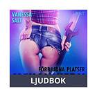 LUST Förbjudna platser: Mekanikern, Ljudbok