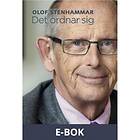 Det ordnar sig (E-bok)