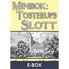 Minibok: Skildring av Tosterups slott år 1873 (E-bok)