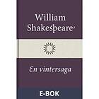 Modernista En vintersaga (E-bok)