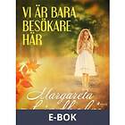 Vi är bara besökare här (E-bok)