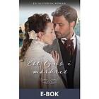 Ett ljus i mörkret (E-bok)