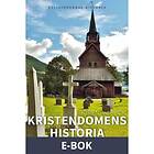 Historiska Media Kristendomens historia (E-bok)