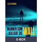 Mannen som kallade sig Wall (E-bok)