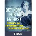 Det kom för mig i en hast Historien om barnamörderskan I