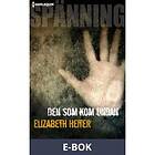 Den som kom undan (E-bok)