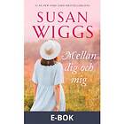 HarperCollins Nordic Mellan dig och mig (E-bok)