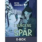 Rabén & Sjögren I kungens spår. Fanny Falk (E-bok)