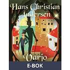 Varjo (E-bok)