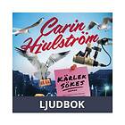 Kärlek sökes, Ljudbok