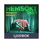 Nattpass i källaren, Ljudbok