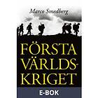 Historiska Media Första världskriget (E-bok)