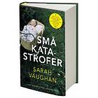 Små katastrofer