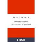 Kanelbutikerna/Sanatoriet Timglaset (E-bok)