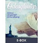 Ödesglimtar (E-bok)