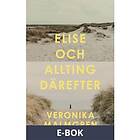 Elise och allting därefter (E-bok)