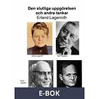 Den slutliga uppgörelsen och andra tankar (E-bok)