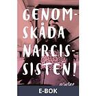 Genomskåda narcissisten en sann kärlekshistoria med