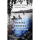 Er tredje man (E-bok)