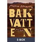 Bakvatten (E-bok)