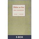 Hålor av hin, (E-bok)