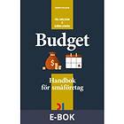 Björn Lundén Budget (E-bok)
