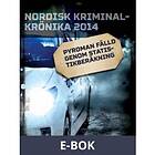 Pyroman fälld genom statistikberäkning (E-bok)