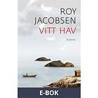 Vitt hav (E-bok)