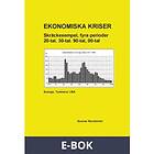 Ekonomiska kriser (E-bok)