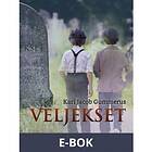 Veljekset (E-bok)