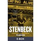 Modernista Stenbeck: En biografi över en framgångsrik affärsman, (E-bok)