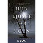 Modernista Hur ljuset tar sig in (En kommissarie Gamache-deckare), E-b