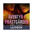 LUST Äventyr i Prästgården, Ljudbok