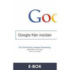 Pagina Google från insidan, (E-bok)