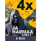 4X ja harmaa veli, (E-bok)