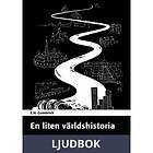 Viatone En liten världshistoria, Ljudbok