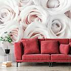Arkiio Fototapet Självhäftande Satin Rose Pink 147x105