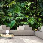Arkiio Fototapet Självhäftande Sunny Jungle fototapet 147x105
