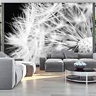 Arkiio Fototapet Black And White Dandelion and white dandelion 100x70