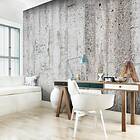 Arkiio Fototapet Grey Emperor 200x140