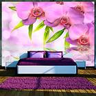 Arkiio Fototapet Orchids In Lilac Colour in lilac colour 100x70