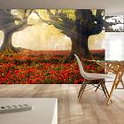 Arkiio Fototapet Morning Among Poppies among poppies 200x140