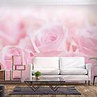 Arkiio Fototapet Ocean Of Roses of 400x280