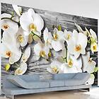 Arkiio Fototapet Callous Orchids III orchids 150x105