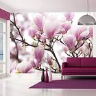 Arkiio Fototapet Magnolia Bloosom bloosom 200x154