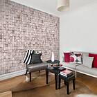 Arkiio Fototapet Stone background mosaic 50x1000 cm background:
