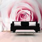 Arkiio Fototapet Rose Maze maze 150x105