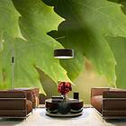 Arkiio Fototapet Leaves 200x154