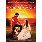 Far from the Madding Crowd (1998) (DVD)