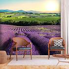 Arkiio Fototapet Lavender Field 200x140